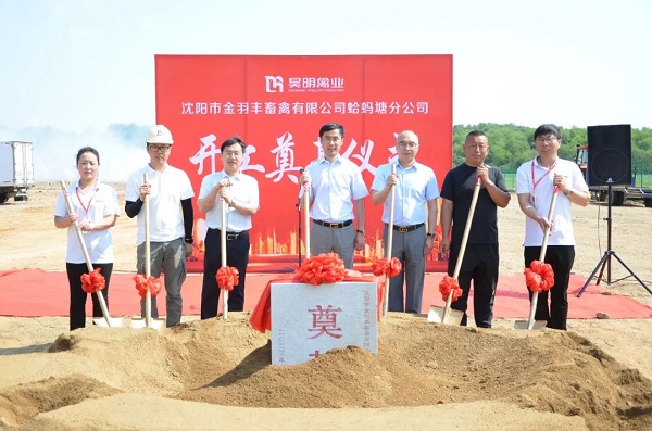 小米钱包官网 - 安全便捷的数字支付解决规划